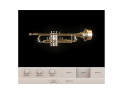 Wavesfactory Muted Trumpet Harmon image 2
