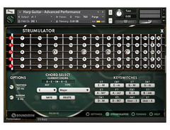 Soundiron Brad Hoyt's Harp Guitar image 3