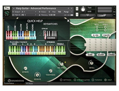 Soundiron Brad Hoyt's Harp Guitar image 4