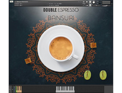 Have Audio Bansuri Bundle image 4