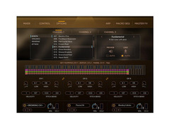Heavyocity Mosaic Pluck image 3