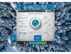 Have Audio Nordisk Kontrabass image 2