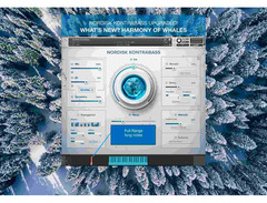 Have Audio Nordisk Kontrabass image 3