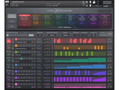 Big Fish Audio Street Percussion image 2