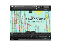 Soundiron Bamboo Stick Ensemble image 2
