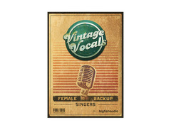 Big Fish Audio Vintage Vocals image 2