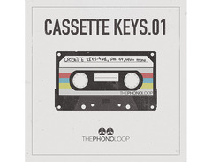 THEPHONOLOOP Cassette Keys.01 for Kontakt image 2