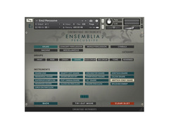 Cinematique Instruments Ensemblia Percussive image 3