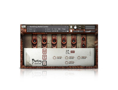 Soundiron Bamblong image 2