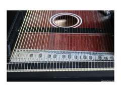 AudioThing Bowed Harp image 3