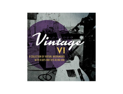 Big Fish Audio Vintage VI image 2