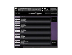 Big Fish Audio Vintage VI image 3