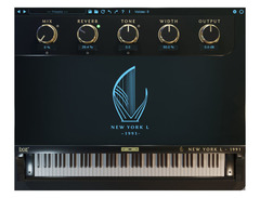 Boz Digital Labs New York L Bundle image 3