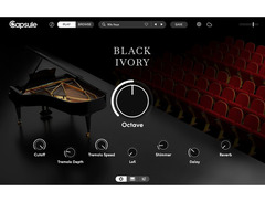 Capsule Audio Keys Bundle image 2