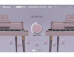 Capsule Audio Keys Bundle image 4