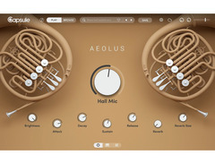 Capsule Audio Orchestral Bundle image 4