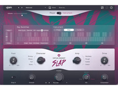 UJAM Virtual Bassist Bundle 2 image 2