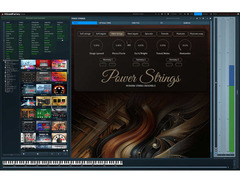 MeldaProduction PowerStrings image 2