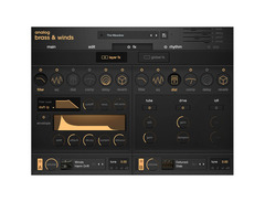 Output ANALOG BRASS & WINDS Kontakt Instrument image 3