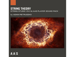 Applied Acoustics Systems String Studio VS-3 + PACKS image 3