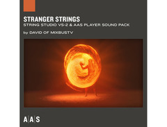 Applied Acoustics Systems String Studio VS-3 + PACKS image 4