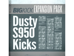 Plugin Boutique BigKick Expansion - Dusty S950 Kicks image 2