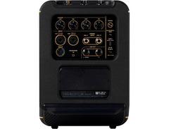 Positive Grid Spark Edge 65-watt Combo Amp and PA System image 3