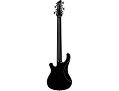 Schecter Stargazer 12 12-string Bass Guitar image 3