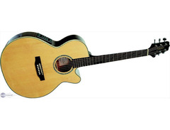 Takamine EG540SSC image 2