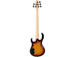 H. Jimenez LBS5 5-string Electric Bass Guitar image 2