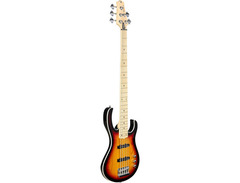 H. Jimenez LBS5 5-string Electric Bass Guitar image 3