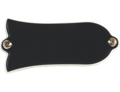 Gibson PRTR-010 Blank Truss Rod Cover image 2
