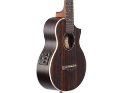Ibanez UEW13MEE image 2