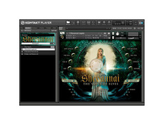 Best Service Voice of Elves Shevannai image 3