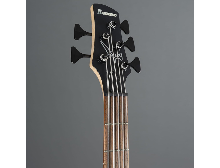Ibanez K5 Fieldy Signature - What To Know & Where To Buy | Equipboard