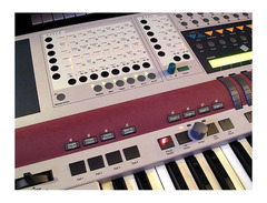 Hohner Adam image 4