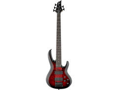 ESP LTD B-205DX 5-string Electric Bass Guitar image 3