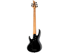ESP LTD B-205DX 5-string Electric Bass Guitar image 4