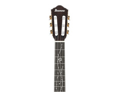 Ibanez TOD100FMN image 3