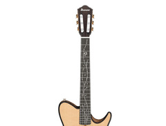 Ibanez TOD100N image 4