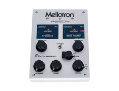 Mellotron by Resch Micro Module image 2