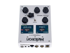 Mellotron by Resch Micro Module image 4