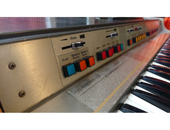 Elka Professional Capri 101 image 3