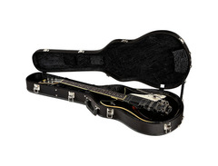 Duesenberg DSA10 Double Cat image 4