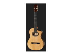 Takamine TH90 image 2