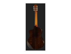 Takamine TH90 image 3