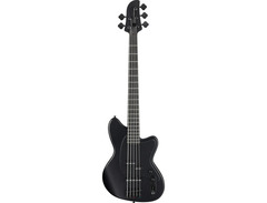 Ibanez Talman 5-string Bass Guitar image 2