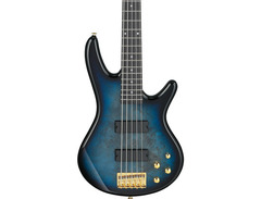 Ibanez Gio GSR205PC 5-string Bass Guitar - What To Know & Where To