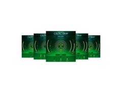 Big Fish Celtic Instruments Plug-in image 2