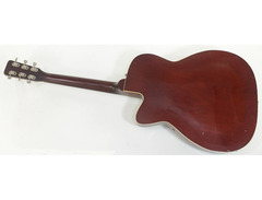 Martin F-55 image 3